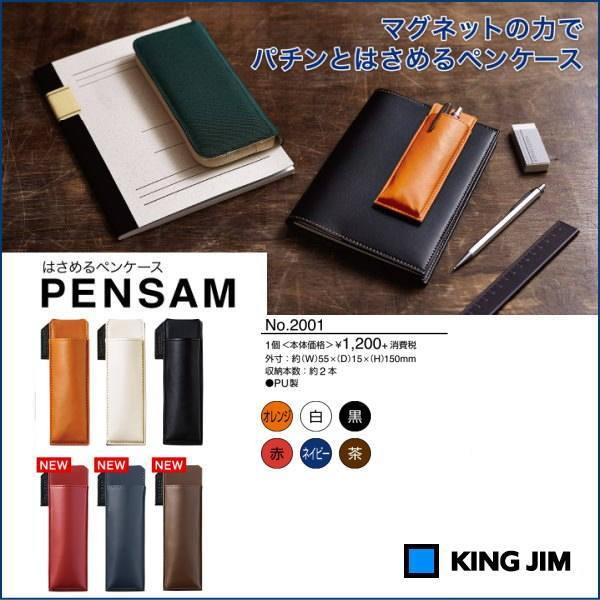 KING JIM（キングジム） メール便対応可 パチンとはさめるペンケース