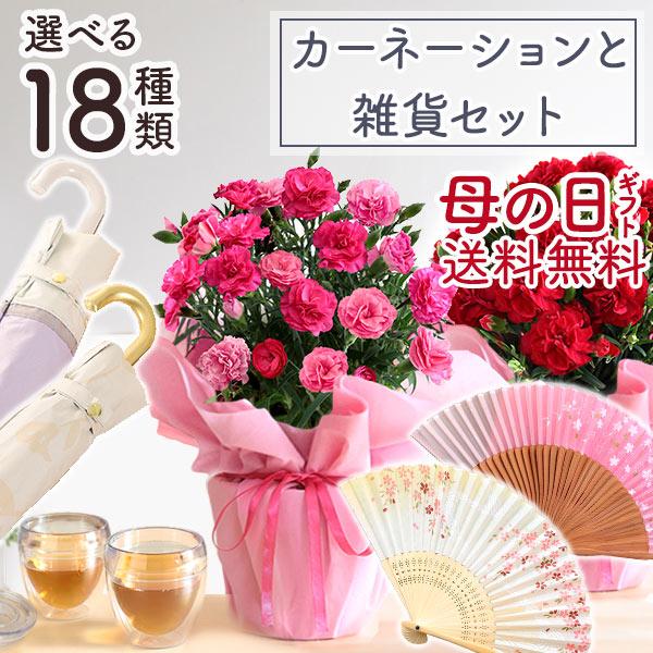 BunBunBee まだ間に合う! 母の日 2025 プレゼント 花 ギフト BunBunBee まだ間に合う! 母の日 2025 プレゼント 花 ギフト