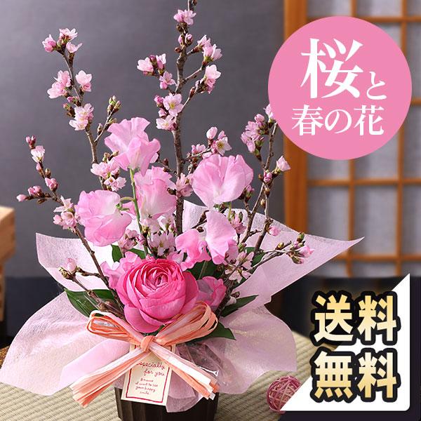 桜 花 誕生日 プレゼント ギフト あすつく 14時まで 早春の桜アレンジ 優しい春の時間 送料無料 生花 お花 女性 お祝い 春の花 K Spr 018yh Bunbun Bee 通販 Yahoo ショッピング