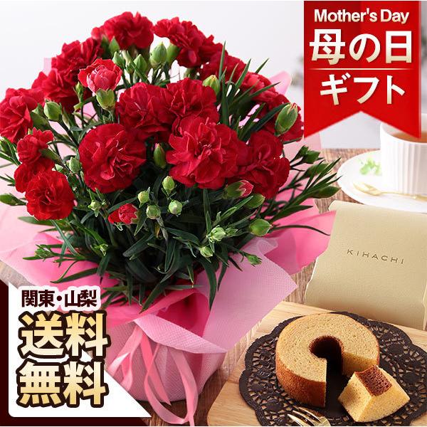 母の日 花 ギフト プレゼント 鉢植え イベントギフト 21 カーネーション鉢4号 スイーツセット 感謝のレッド キハチ バームクーヘン Kb Mo 0058yh Bunbun Bee 通販 Yahoo ショッピング
