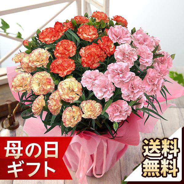 椿　預言者カーネーションセブンスヘブン＋極楽の睡蓮　迎春プラチナセール適用 椿 預言者カーネーションセブンスヘブン＋極楽の睡蓮 迎春