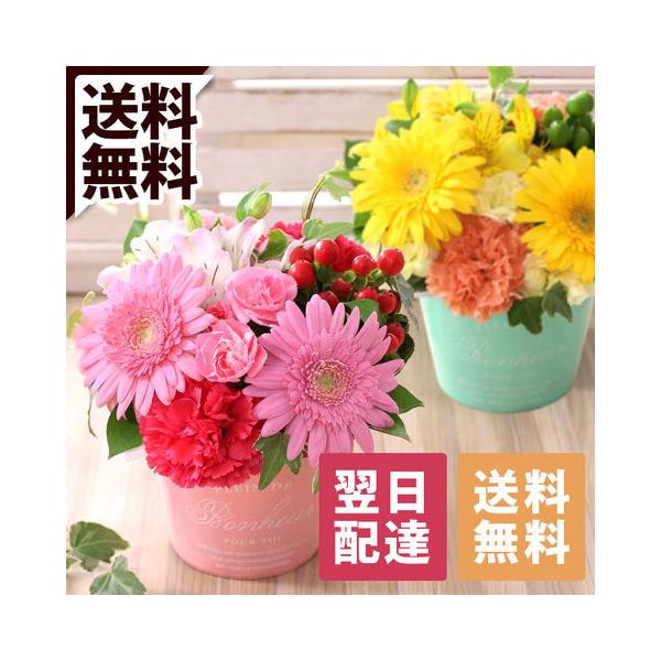 BunBunBee 最短翌日届け 平日14時まで 花 誕生日プレゼント BunBunBee 最短翌日届け 平日14時まで 花 誕生日プレゼント