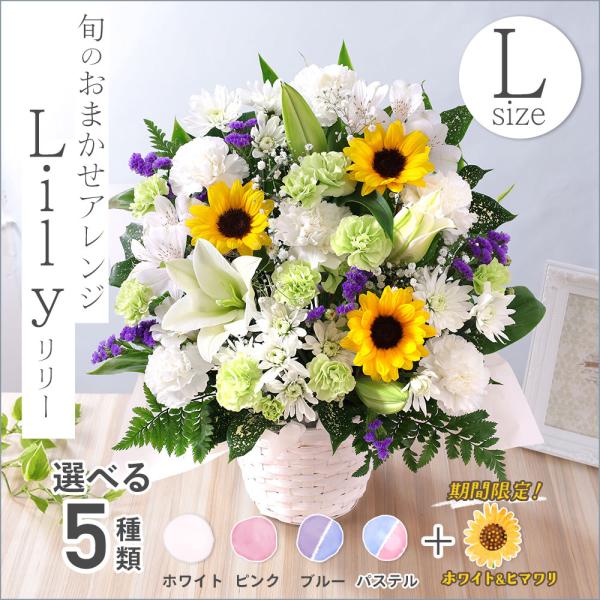 �N�[���֑Ή� �� ������ �{�̂��܂����A�����W�������Z�b�gL ������� ���� ���� �A�����W ���� ���~ ���ފ� �@�v ���{ ���~ ���� ���i�摜5