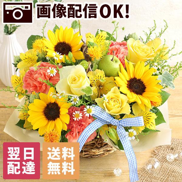 BunBunBee 最短翌日届け 14時まで 花 誕生日 春 桜 プレゼント BunBunBee 最短翌日届け 14時まで 花 誕生日 春 桜 プレゼント
