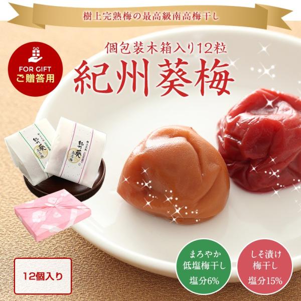 v[g Mtg j j@㊮n썂~ IB~ 12 Ԃ  ނ̂y߂ؔ