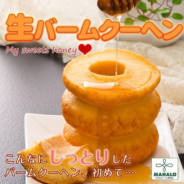 zCgf[ Ԃ 2025 j Mtg a̎R}n̐oEN[w (Iׂo[N[w) ǂł3ȏő kCAꏜ wd (fy3)