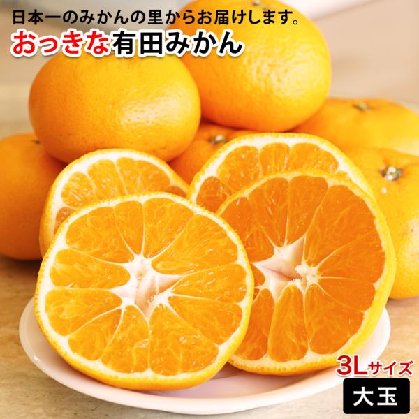 2026年 ご予約開始 ご家庭用 有田みかん 大玉 みかん 3Lサイズ 送料無料 (約4.5kg入） 温州みかん 完熟みかん 食べ応えたっぷりの大きいみかん 爆買