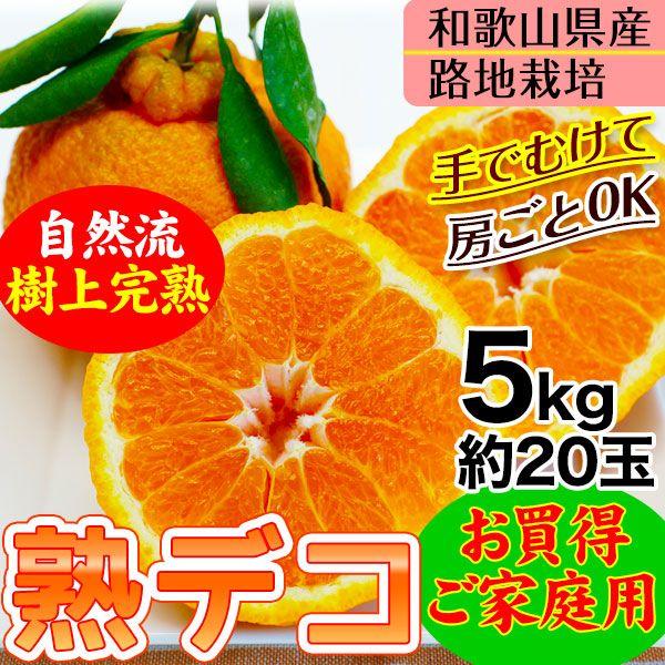 2026�N ���\��J�n ���ƒ�p �s�m�΁i�f�R�|���j�I�n�͔|�̎��㊮�n�f�R�|���u�n�f�R�v�a�̎R���Y�i���������j�T�C�Y�s�����A�����̏��L�� 5kg�i��20�ʁj(fy6)