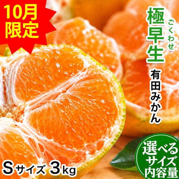 2026年 販売開始 内祝い ギフト 低農薬、自然のマルチ栽培で作る美味しい 極早生有田みかん Sサイズ 3kg 送料無料 みかん ミカン お歳暮