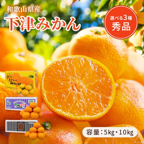 下津みかん レギュラー 蔵出し Mサイズ 10kg 2026 送料無料 みかん 爆買 お歳暮
