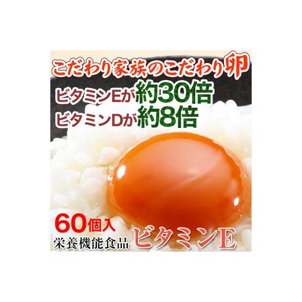 j Mtg Ƒ̂藑60ij  h{@\Hi r^~E 30{Ar^~D 8{@(fy6)