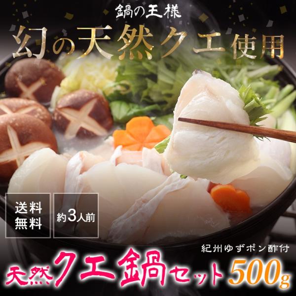 Ỉl VR NG Zbgij500giAAg e250gj3lO IB䂸||2{AȒP烌Vst Mtg 蕨 v[g (fy9)