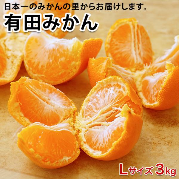 2026年 ご予約受付中 内祝い ギフト 低農薬、自然のマルチ栽培で作る美味しい 有田みかん Lサイズ 3kg 送料無料 みかん ミカン お歳暮 爆買