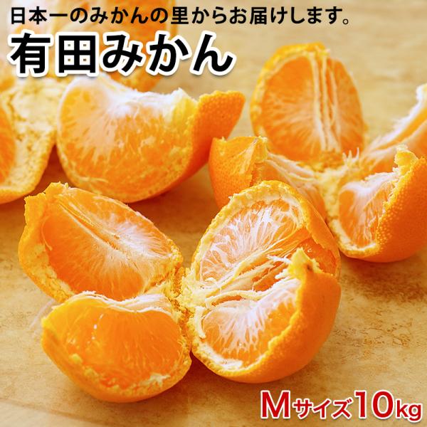 和歌山県有田産　マルチ栽培薄皮みかん10kg 低農薬、自然のマルチ栽培で作る美味しい 有田みかん Mサイズ