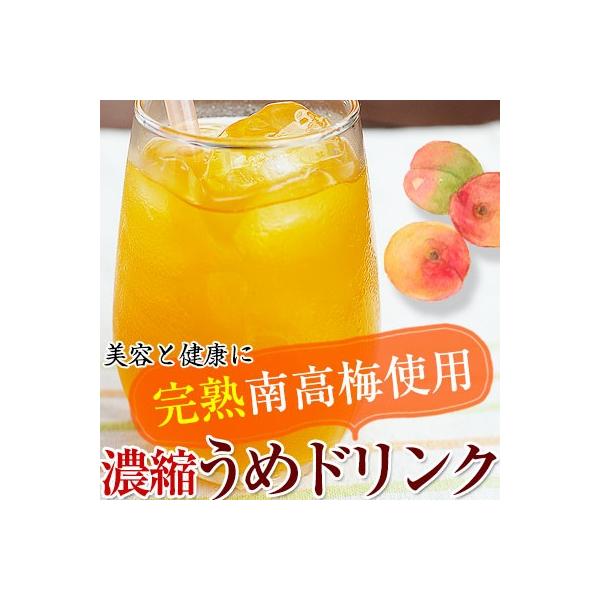 n~W[XiIB썂~gpj500ml  荂ZȃRN̂~hNB␅A\[_AŊĂI@(fy3)