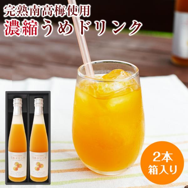 プレゼント ギフト スイーツ  手土産 完熟梅ジュース(紀州南高梅使用)500ml 2本セット 香り高く濃厚なコクのある梅ドリンク