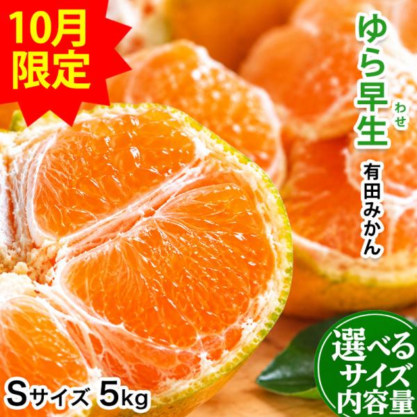 2026年 販売開始 内祝い ギフト 低農薬、自然のマルチ栽培で作る美味しい ゆら早生有田みかん Sサイズ 5kg 送料無料 みかん ミカン お歳暮 爆買
