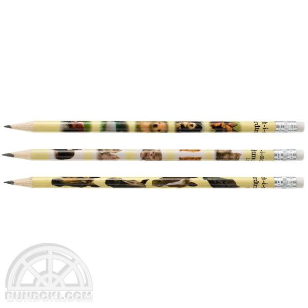 KOH-I-NOOR/コヒノール GRAPHITE PENCIL 1231 ANIMALS(消しゴム付き 