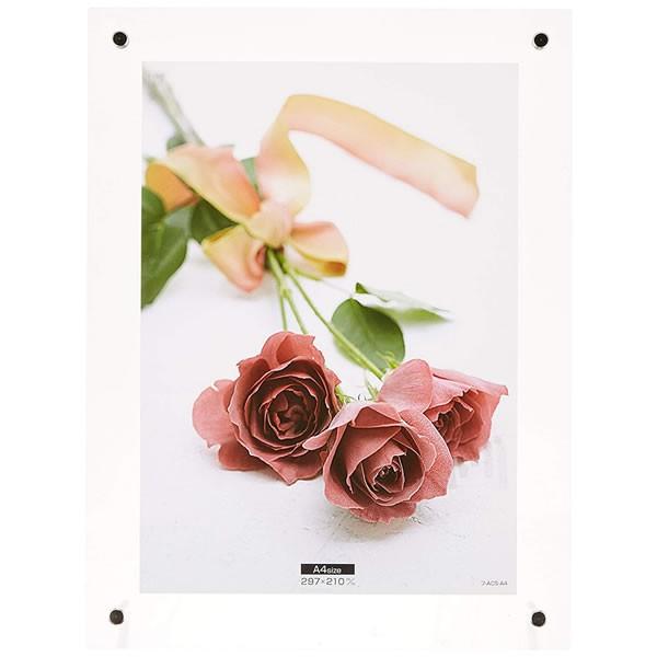 iJoV^ANsN`[t[ X^h^Cv A4 (t-ACS-A4) Nakabayashi