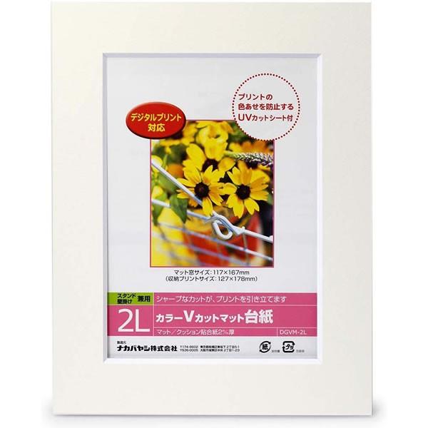 iJoV^J[VJbg}bg䎆 2L zCg (DGVM-2L-W) یV[gt tHgt[ Nakabayashi