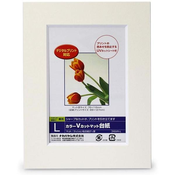 iJoV^J[VJbg}bg䎆 L zCg (DGVM-L-W) یV[gt tHgt[ Nakabayashi