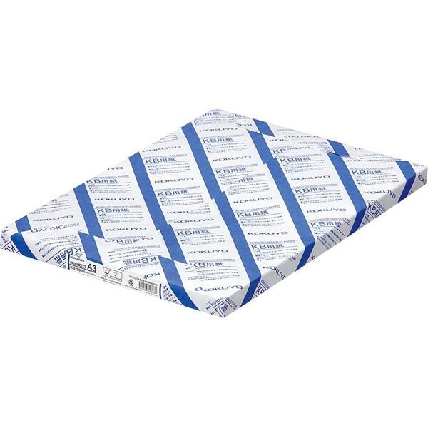 RN^jap(p) erbF64^2 A3 250iKB-238NjFXȕ̃v^Ɏgpł鋤L KOKUYO