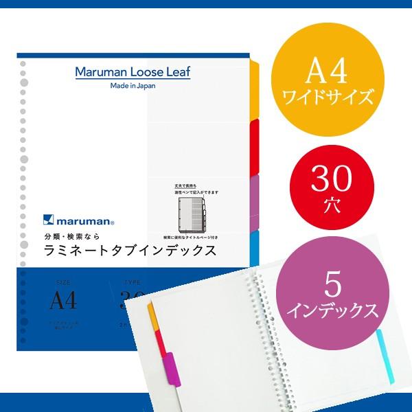 yASChTCYz}} ~l[g^uCfbNX  [Y[t 5R 5 30 (LT3005)