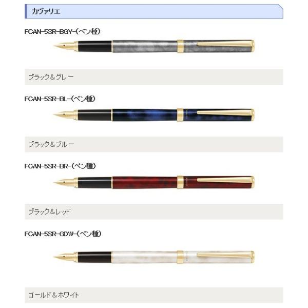 カヴァリエ パイロット 万年筆 FCAN-5SR マーブル オシャレ お祝い 名