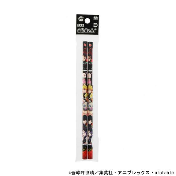 鬼滅の刃　赤鉛筆　2本組　六角軸　4901770656700　名入れ無料　新入学文具　[M便 1/20]