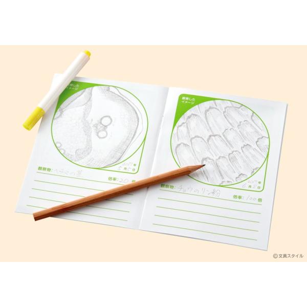 ハンディ顕微鏡zoom 観察セット 子供用 自由研究に 手軽にスマホ撮影 観察ノートダウンロード配布中 Buyee Buyee Japanese Proxy Service Buy From Japan Bot Online