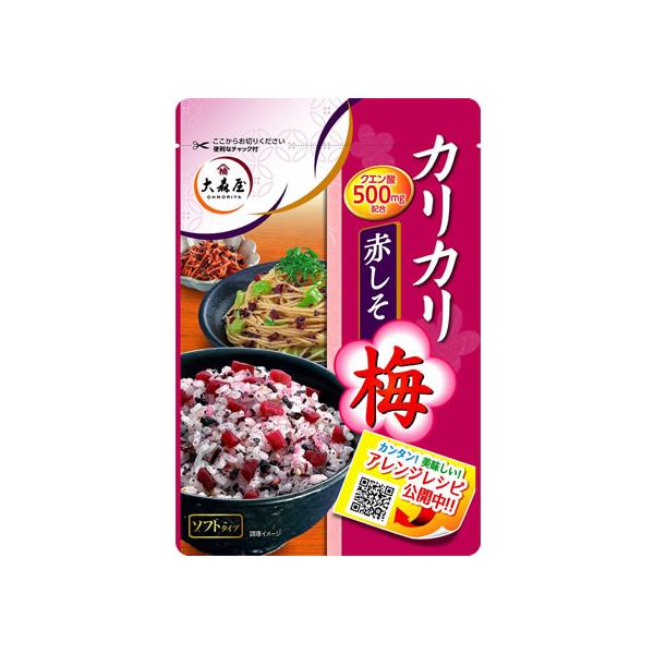 【商品説明】カリカリとした食感の大きめな梅とさっぱりとした酸味の赤しそをあわせました。【仕様】●注文単位：１袋（４０ｇ）
