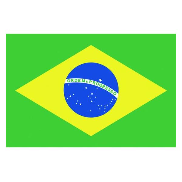お取り寄せ】東京製旗 国旗No.1(70×105cm) ブラジル 416646 : BUNGU便