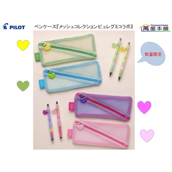 Parker メッシュパターン ボールペン 専用ケース付き Parker メッシュパターン ボールペン 専用ケース付き ペンギフトセット