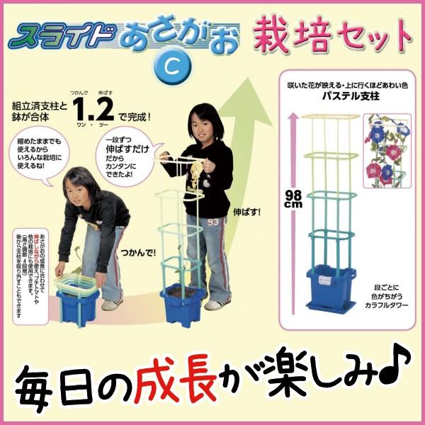 お取寄 あさがお栽培 スライドあさがおセット Cセット 朝顔 日本製