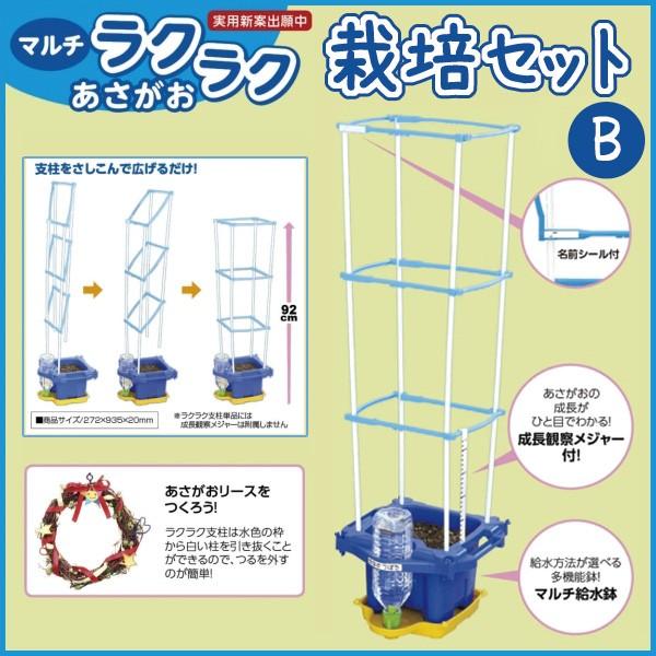 ⭐️良品⭐️メキシコ アマテ絵 2個セット Unknown_Artist_-
