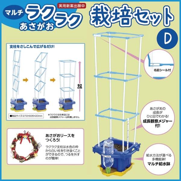 お取寄 あさがお栽培 マルチラクラクあさがおセット Dセット