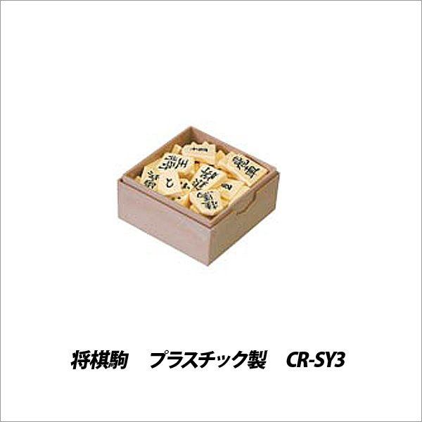 q l  Q[  vX`bN CR-SY3 [֕s