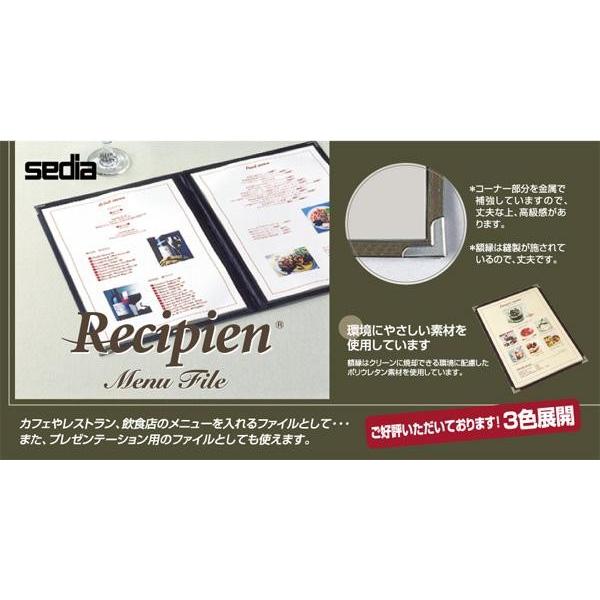 補充ファイル（レシピアン メニューファイルME-1000用） 2ページ・差込  