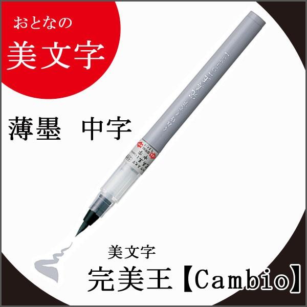 | st CambioCN My Jt M cp   [։