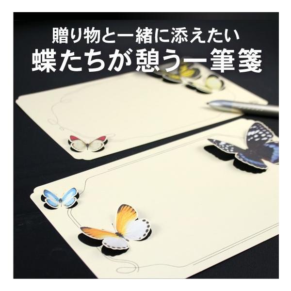 fB[uX-D-BROS CbscZo^tC zeo^tCV[YiMⳁj Ή