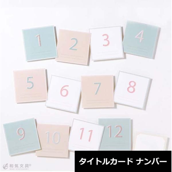 ͏o oC_[AoV[Y ANZT[ io[OJ[h 12Zbg Ή AoAW 킢 ʐ^