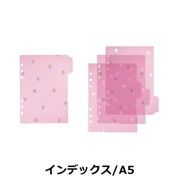 }[NX VXe蒠p CfbNX A5