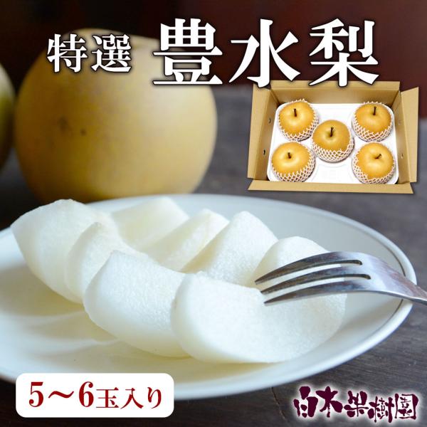 豊水梨 特選秀品 約2kg 5〜6玉入り 高知県産 産地直送 送料無料