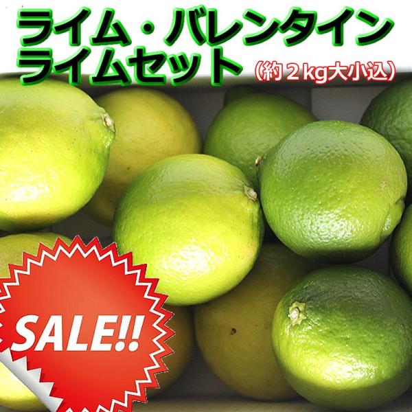 白木果樹園産タヒチライム バレンタインライムセット 約2ｋｇ Buyee Servicio De Proxy Japones Buyee Compra En Japon