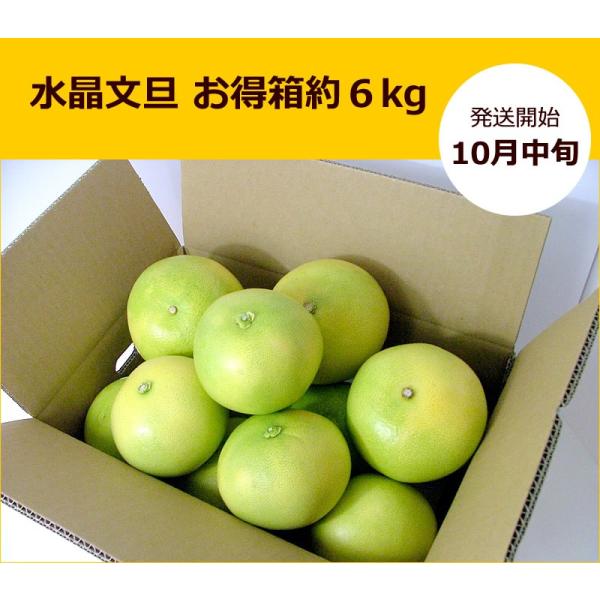 水晶文旦お得箱約6kg 家庭用包装対象外文旦ぶんたんブンタン高知みかん Buyee Buyee 提供一站式最全面最專業現地yahoo Japan拍賣代bid代拍代購服務