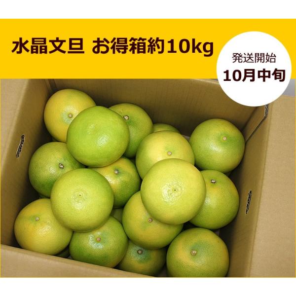 水晶文旦お得箱約10kg 家庭用文旦包装対象外ぶんたんブンタン高知みかん Buyee Buyee 提供一站式最全面最專業現地yahoo Japan拍賣代bid代拍代購服務