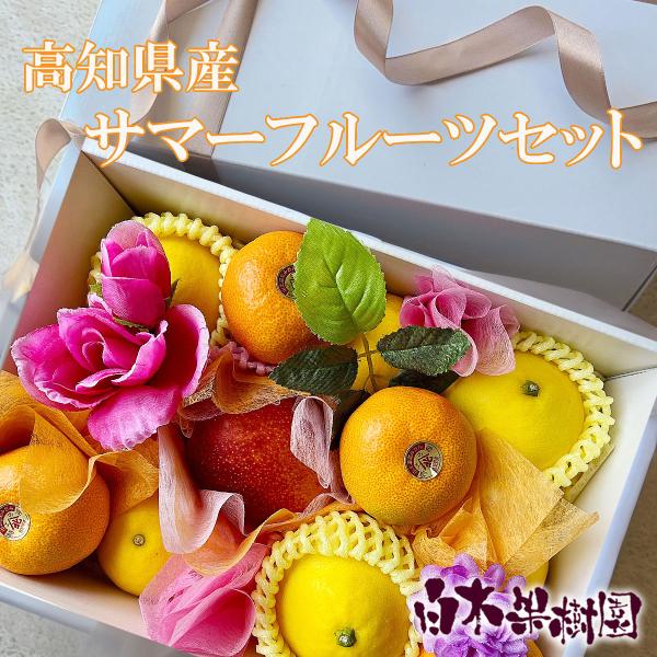 夏ギフトにご利用で、お届け時期にご希望がある場合は備考欄にご記入ください。ご希望がない場合は、ご用意でき次第の発送でお手配致します。・高知県産完熟マンゴー・小夏 ・ハウスみかん・・・など発送期間：7月上旬〜6月下旬濃厚な甘みととろける果肉が...