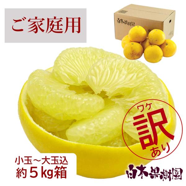 [Release date: February 1, 2026]通常販売価格4,800円のところ4,560円【5％OFF】【予約受付期間】2026/1/1　〜　2026/1/5　まで・発送期間　：　2月上旬〜4月上旬・土佐文旦わけありキズ物...