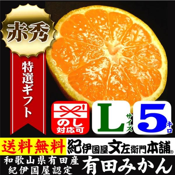 y\̔zLc݂ kTCY 5kg(45) IMtg=ԏG a̎RLcYEIɍq{ܔF ΕEEMtg