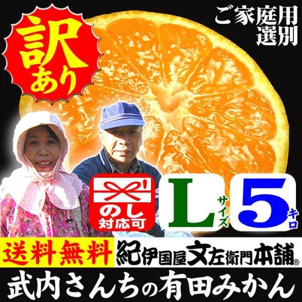 y\̔za̎R̗Lc݂ 񂿂̗Lc݂(LTCY)5kg ƒp 󂠂